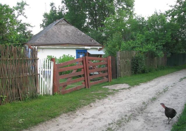Kалиновий Kущ Dmitrenki Екстериор снимка